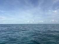 Great day of scuba diving in Key Largo with Rainbow Reef on eagle ray alley tropical serenity 2026 06 09 r19843 1