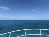 Great day of scuba diving in Key Largo with Rainbow Reef on elbow reef tropical serenity 2026 06 12 r19857 1