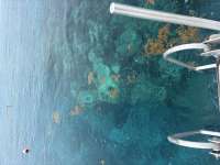Great day of scuba diving in Key Largo with Rainbow Reef on fire coral cave tropical odyssey 2026 06 23 r19898 1