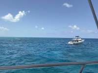 Great day of scuba diving in Key Largo with Rainbow Reef on hole in the wall tropical odyssey 2026 06 28 r19917 1