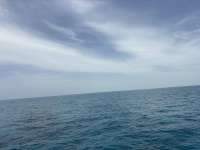 Great day of scuba diving in Key Largo with Rainbow Reef on snapper ledge tropical odyssey 2026 06 23 r19896 1