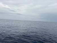 Great day of scuba diving in Key Largo with Rainbow Reef on spiegel grove tropical odyssey 2026 06 03 r19821 1