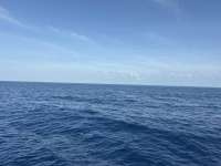 Great day of scuba diving in Key Largo with Rainbow Reef on spiegel grove tropical odyssey 2026 06 18 r19871 1
