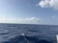 Great day of scuba diving in Key Largo with Rainbow Reef on spiegel grove tropical odyssey 2026 06 26 r19906 1