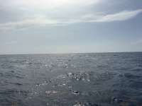 Great day of scuba diving in Key Largo with Rainbow Reef on spiegel grove tropical odyssey 2026 06 27 r19910 1