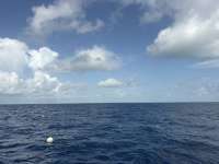 Great day of scuba diving in Key Largo with Rainbow Reef on spiegel grove tropical odyssey 2026 06 28 r19914 1