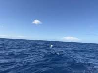 Great day of scuba diving in Key Largo with Rainbow Reef on spiegel grove tropical serenity 2026 06 06 r19831 1