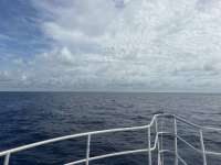 Great day of scuba diving in Key Largo with Rainbow Reef on spiegel grove tropical serenity 2026 06 12 r19850 1
