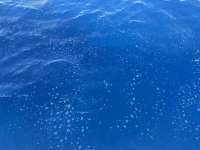 Great day of scuba diving in Key Largo with Rainbow Reef on spiegel grove tropical serenity 2026 06 14 r19864 1