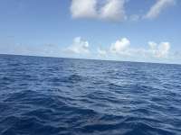 Great day of scuba diving in Key Largo with Rainbow Reef on uscgc bibb tropical odyssey 2026 06 17 r19870 1