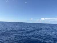 Great day of scuba diving in Key Largo with Rainbow Reef on uscgc duane tropical odyssey 2026 06 30 r19923 1