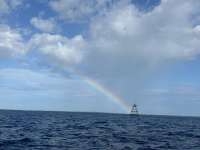 Great day of scuba diving in Key Largo with Rainbow Reef on winch hole tropical serenity 2026 06 20 r19876 1