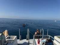 Great day of scuba diving in Key Largo with Rainbow Reef on benwood wreck tropical legend 2026 03 01 r19535 1