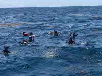 Great day of scuba diving in Key Largo with Rainbow Reef on benwood wreck tropical serenity 2026 03 21 r19585 1