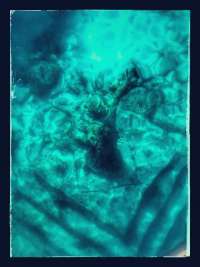Great day of scuba diving in Key Largo with Rainbow Reef on christ statue tropical odyssey 2026 03 26 r19603 1