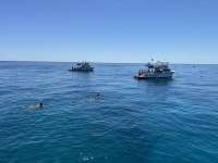 Great day of scuba diving in Key Largo with Rainbow Reef on eagle ray alley tropical serenity 2026 03 24 r19596 1