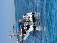 Great day of scuba diving in Key Largo with Rainbow Reef on eagle ray alley tropical serenity 2026 03 24 r19596 2