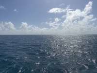 Great day of scuba diving in Key Largo with Rainbow Reef on jjs cave tropical odyssey 2026 03 03 r19541 1