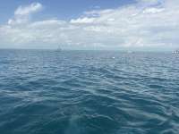 Great day of scuba diving in Key Largo with Rainbow Reef on logans run tropical odyssey 2026 03 01 r19537 1