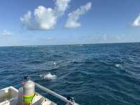 Great day of scuba diving in Key Largo with Rainbow Reef on molasses reef tropical legend 2026 03 08 r19549 1