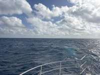 Great day of scuba diving in Key Largo with Rainbow Reef on spiegel grove tropical odyssey 2026 03 04 r19544 1