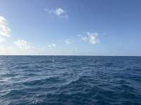 Great day of scuba diving in Key Largo with Rainbow Reef on spiegel grove tropical odyssey 2026 03 08 r19551 1