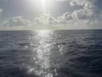 Great day of scuba diving in Key Largo with Rainbow Reef on spiegel grove tropical odyssey 2026 03 09 r19554 1