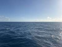 Great day of scuba diving in Key Largo with Rainbow Reef on spiegel grove tropical odyssey 2026 03 10 r19560 1