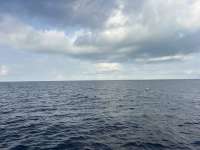 Great day of scuba diving in Key Largo with Rainbow Reef on spiegel grove tropical odyssey 2026 03 13 r19571 1
