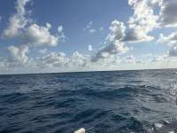 Great day of scuba diving in Key Largo with Rainbow Reef on spiegel grove tropical odyssey 2026 03 26 r19601 1
