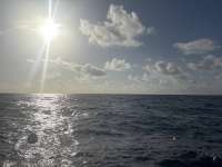 Great day of scuba diving in Key Largo with Rainbow Reef on uscgc bibb tropical odyssey 2026 03 11 r19565 1