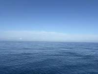 Great day of scuba diving in Key Largo with Rainbow Reef on uscgc duane tropical odyssey 2026 03 01 r19536 1