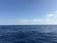 Great day of scuba diving in Key Largo with Rainbow Reef on uscgc duane tropical odyssey 2026 03 21 r19582 1