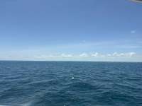 Great day of scuba diving in Key Largo with Rainbow Reef on benwood wreck tropical legend 2026 05 09 r19749 1