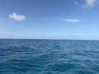 Great day of scuba diving in Key Largo with Rainbow Reef on benwood wreck tropical legend 2026 05 10 r19751 1