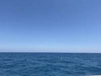 Great day of scuba diving in Key Largo with Rainbow Reef on benwood wreck tropical serenity 2026 05 02 r19728 1