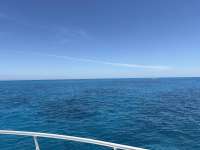 Great day of scuba diving in Key Largo with Rainbow Reef on christ statue tropical legend 2026 05 08 r19746 1