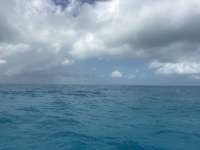 Great day of scuba diving in Key Largo with Rainbow Reef on crf nursery tropical destiny 2026 05 22 r19789 1