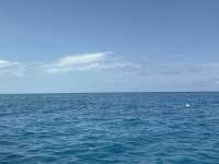 Great day of scuba diving in Key Largo with Rainbow Reef on drift french tropical odyssey 2026 05 29 r19802 1