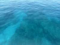 Great day of scuba diving in Key Largo with Rainbow Reef on five caves tropical adventure 2026 05 01 r19723 1