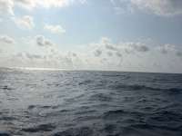 Great day of scuba diving in Key Largo with Rainbow Reef on nine channel tropical serenity 2026 05 02 r19725 1