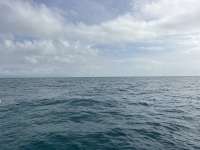 Great day of scuba diving in Key Largo with Rainbow Reef on north star tropical legend 2026 05 11 r19756 1