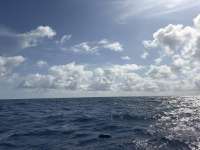 Great day of scuba diving in Key Largo with Rainbow Reef on spiegel grove tropical destiny 2026 05 22 r19787 1
