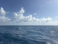 Great day of scuba diving in Key Largo with Rainbow Reef on spiegel grove tropical odyssey 2026 05 23 r19791 1