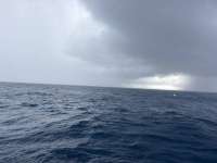 Great day of scuba diving in Key Largo with Rainbow Reef on spiegel grove tropical odyssey 2026 05 28 r19795 1
