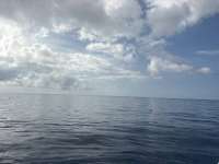 Great day of scuba diving in Key Largo with Rainbow Reef on spiegel grove tropical odyssey 2026 05 29 r19798 1