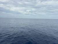 Great day of scuba diving in Key Largo with Rainbow Reef on spiegel grove tropical odyssey 2026 05 31 r19807 1