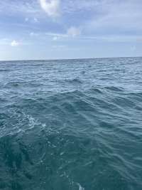 Great day of scuba diving in Key Largo with Rainbow Reef on benwood wreck tropical adventure 2026 09 11 r20356 1