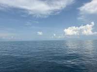 Great day of scuba diving in Key Largo with Rainbow Reef on benwood wreck tropical destiny 2026 09 08 r20345 1