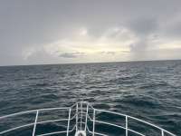 Great day of scuba diving in Key Largo with Rainbow Reef on benwood wreck tropical destiny 2026 09 10 r20352 1